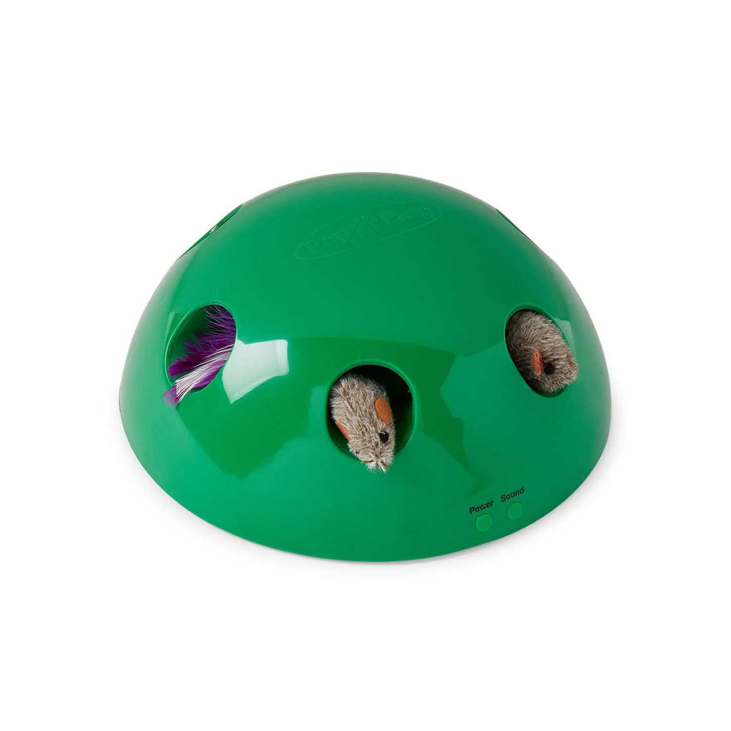 Cat Toy U243947