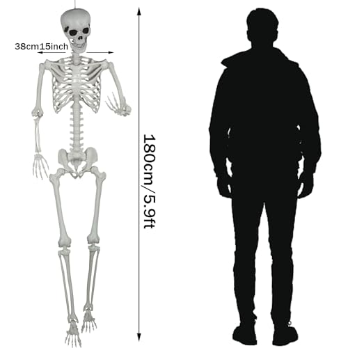 5.9ft Halloween Life Size Skeleton Plastic Human Bones with Movable Joints C636497