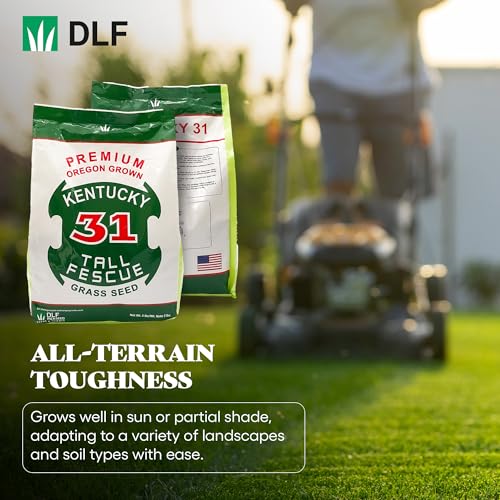 Kentucky 31 Tall Fescue Grass Seed 5 lb Bag D1073