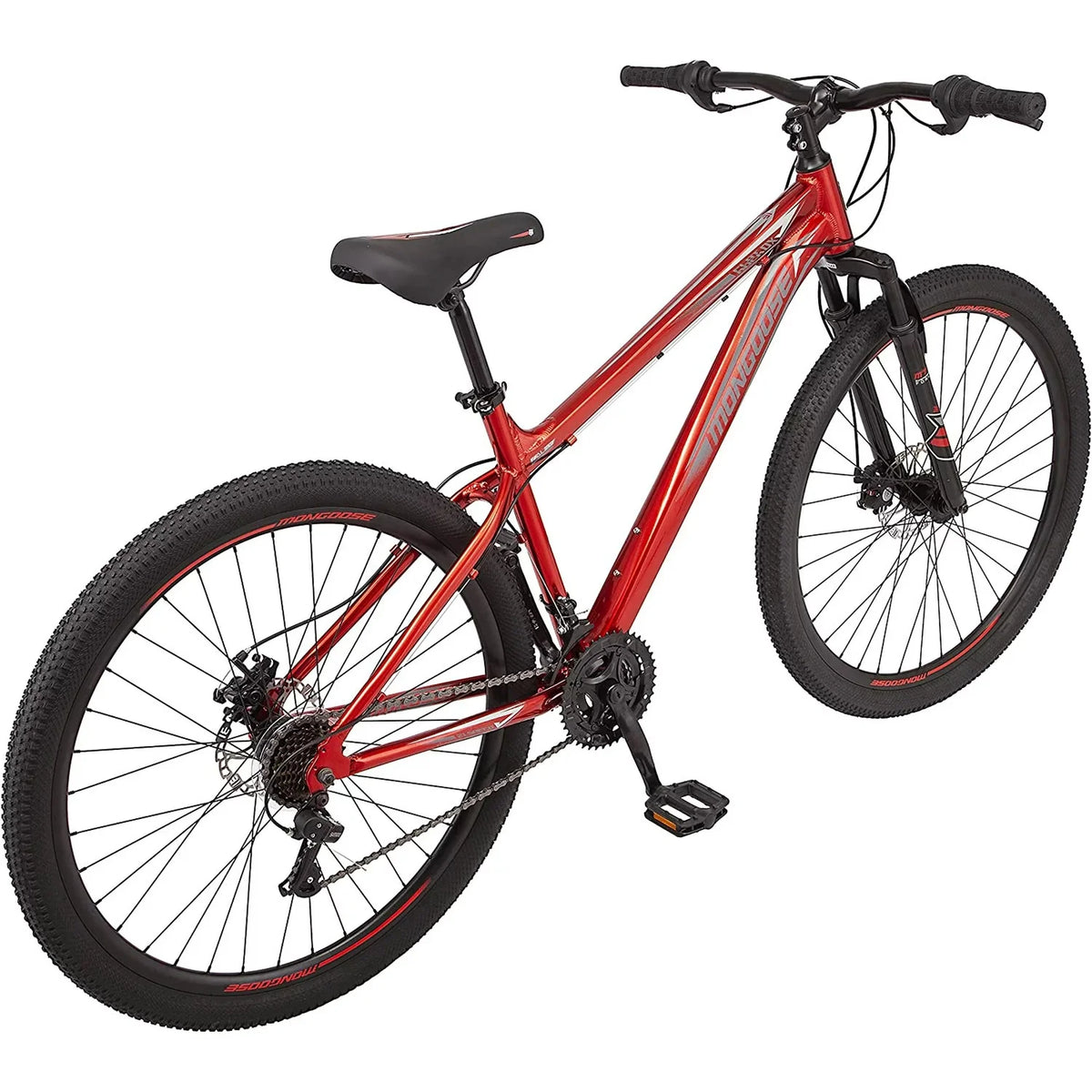 21 Speeds Adult Mountain Bike S3698