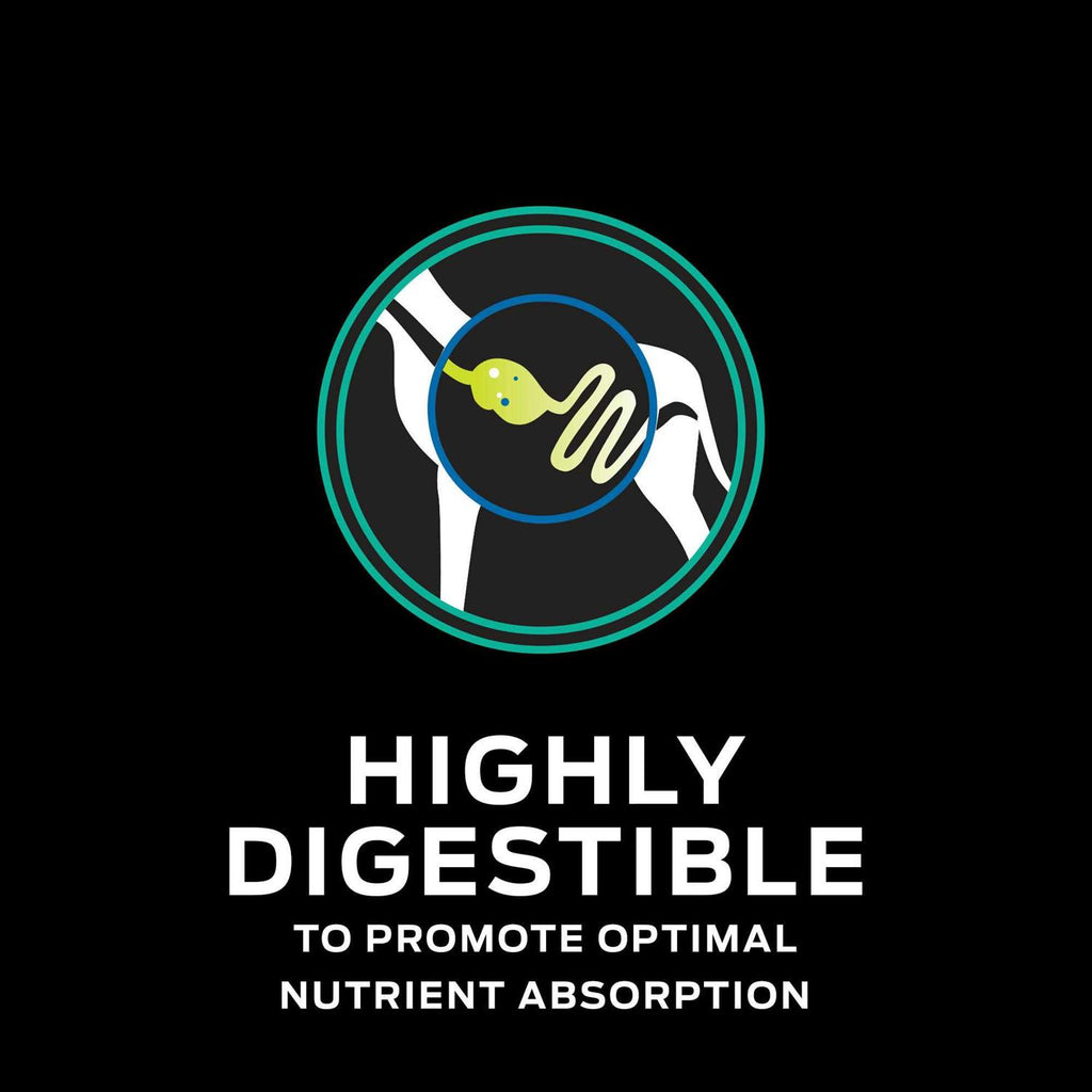 Gastroenteric Dry Dog Food J1019