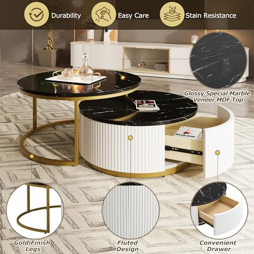 Round Nesting Coffee Table Set of 2 with Storage Drawer White R252238