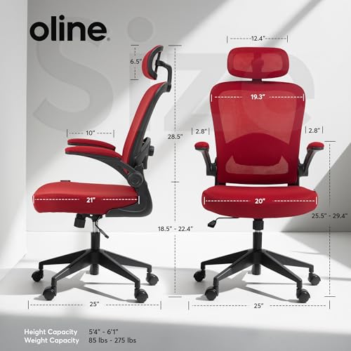 Black Ergonomic Mesh Office Chair S841