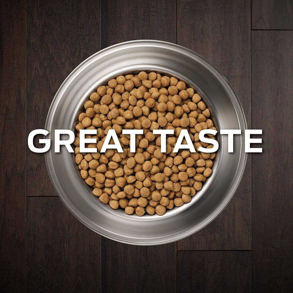 Gastroenteric Dry Dog Food J1019