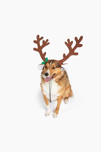 Brown Reindeer Dog Antlers Headband Pet Christmas Costume J792990