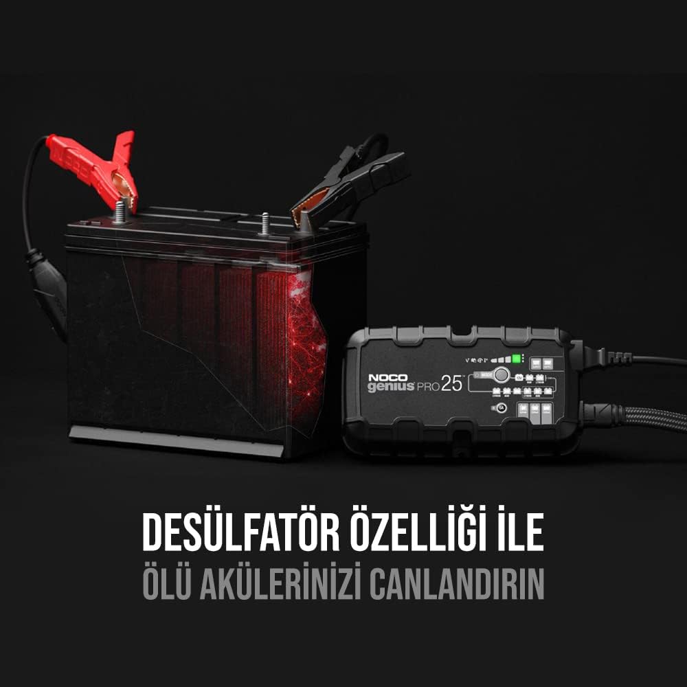 25-Amp 6V 12V 24V Battery Charger R601