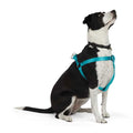 Dog Harness W3392