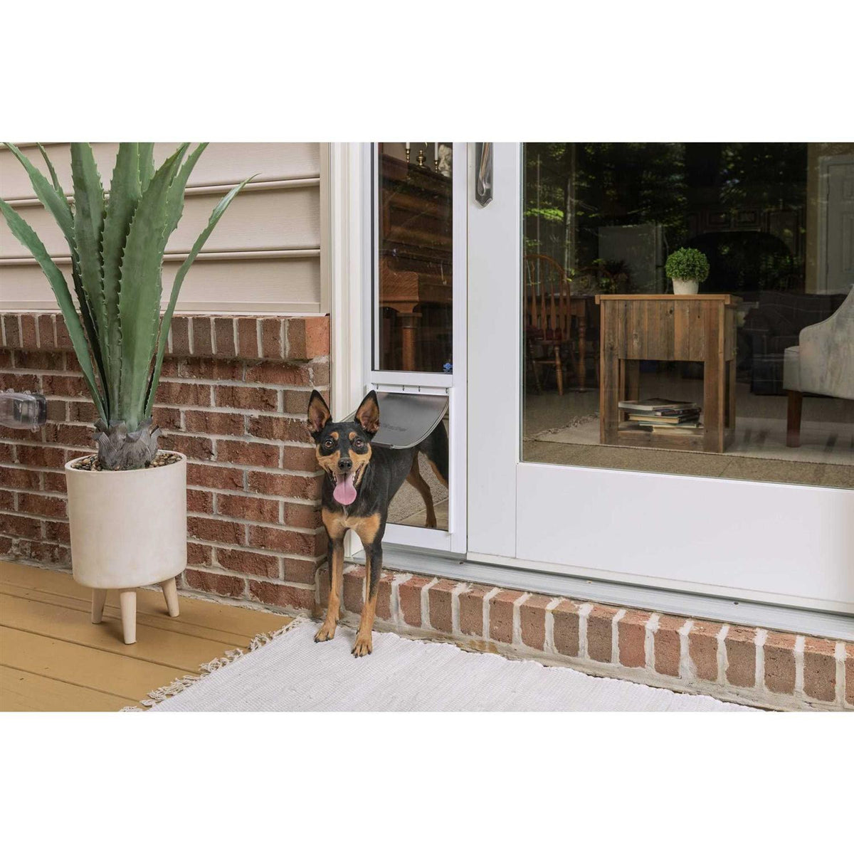 Sliding Glass Pet Door P841
