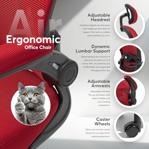 Black Ergonomic Mesh Office Chair S841