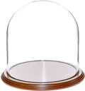Glass Display Dome Cloche with Walnut Veneer Base S606772