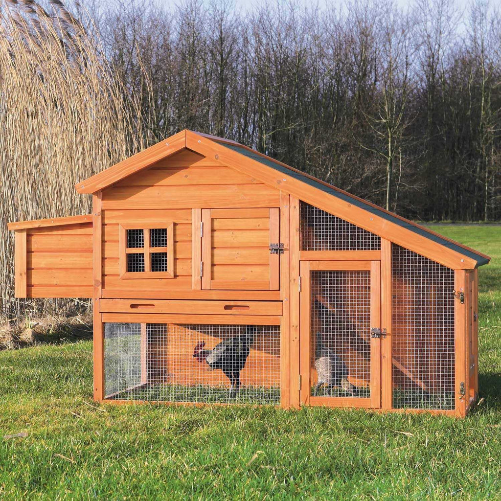 Chicken Coop L291