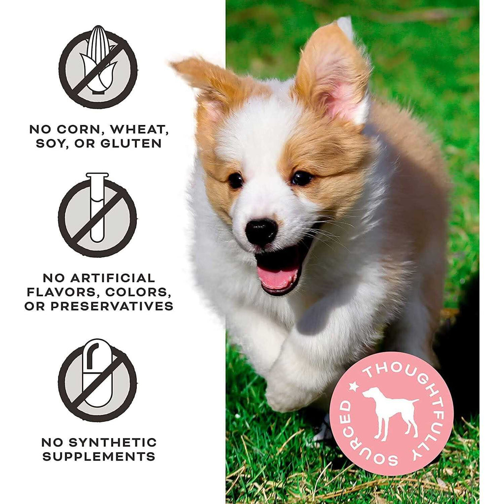 Freeze-Dried Chicken Dog Treats R1254