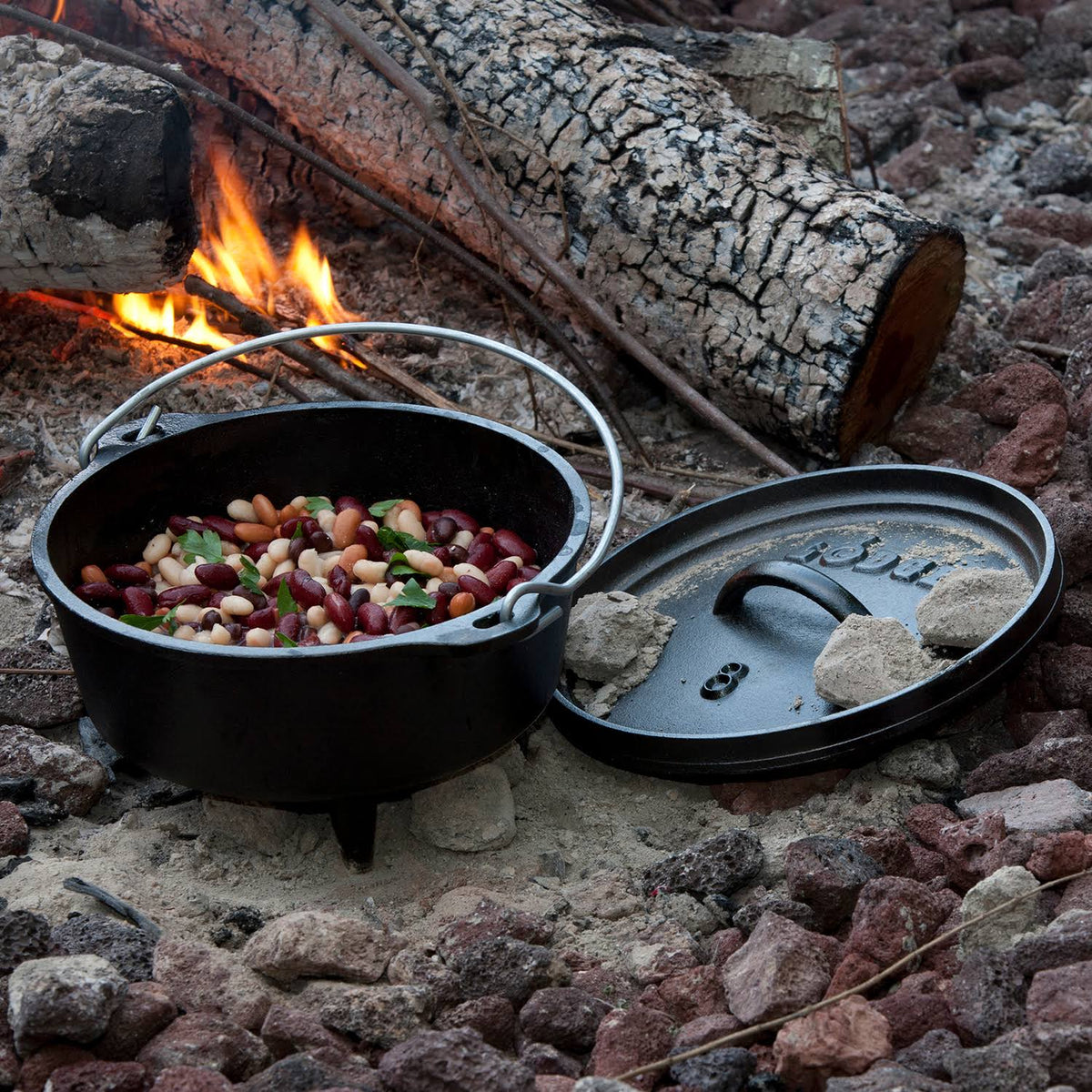 Black 8 qt Cast Iron Dutch Oven U865448