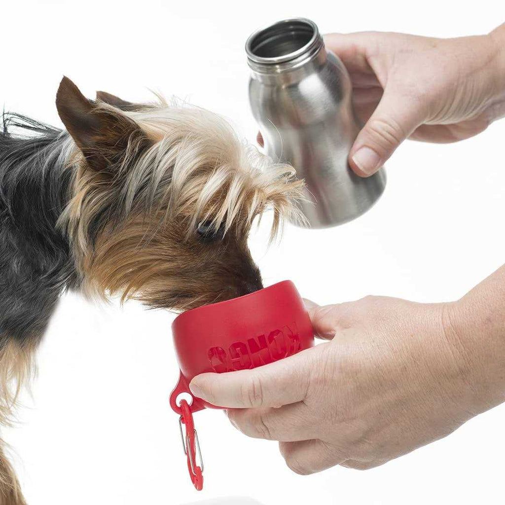 Stainless Steel Dog Water Bottle U527634