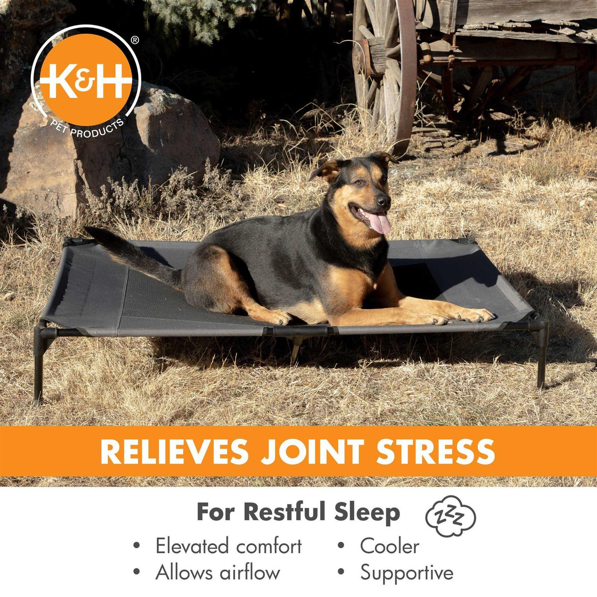 Realtree Pet Cot Q128
