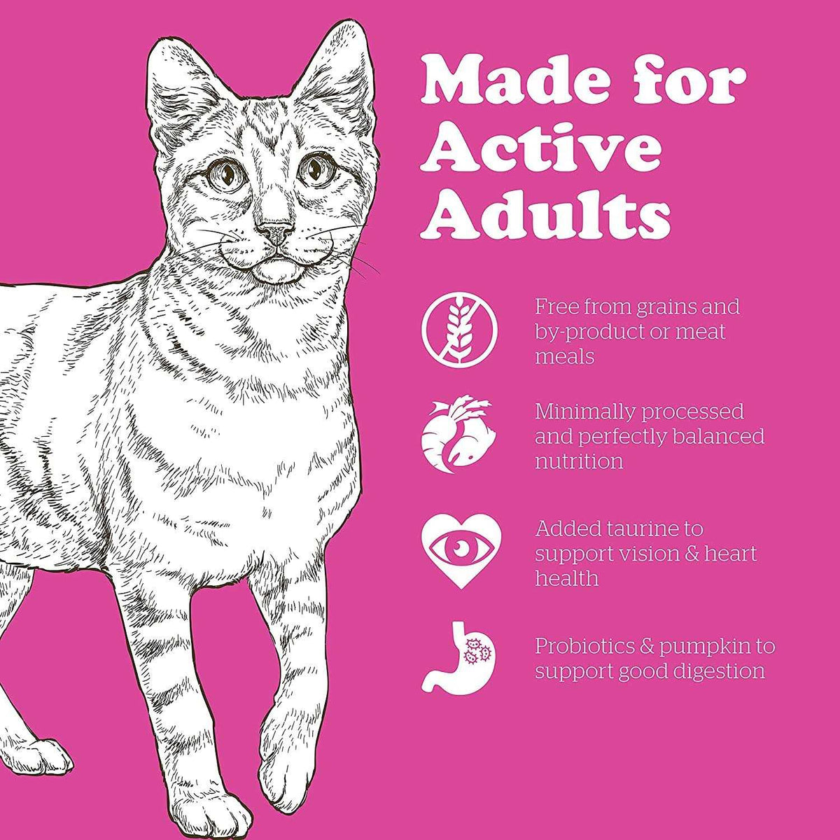 Grain-Free Adult Dry Cat Food Q287509