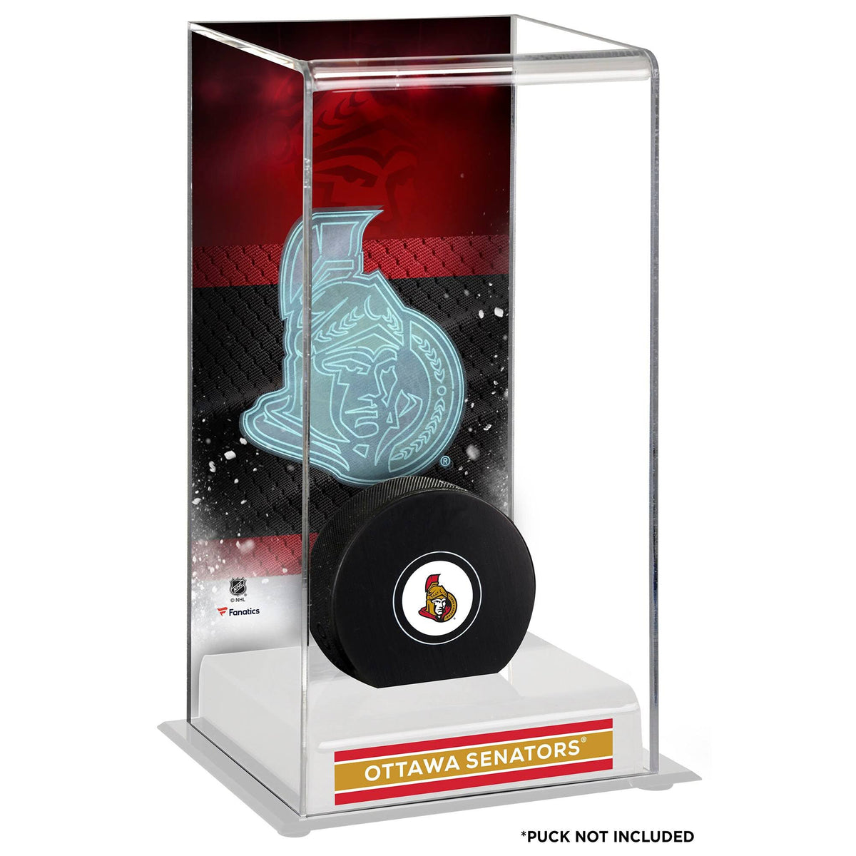 Hockey Puck Case R601