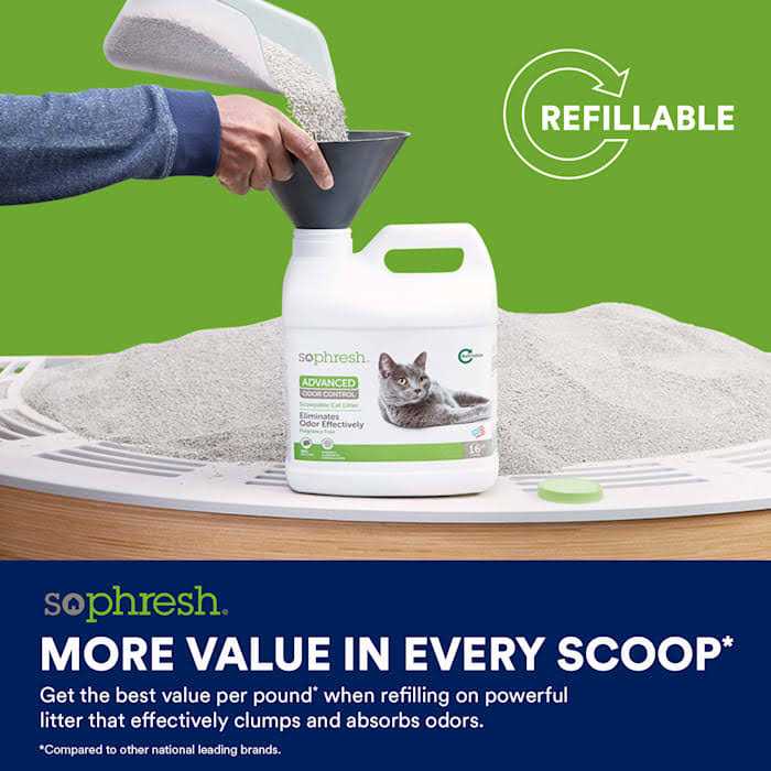 Advanced Odor Control Scoopable Cat Litter W62020