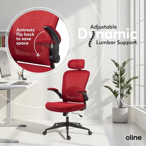 Black Ergonomic Mesh Office Chair S841