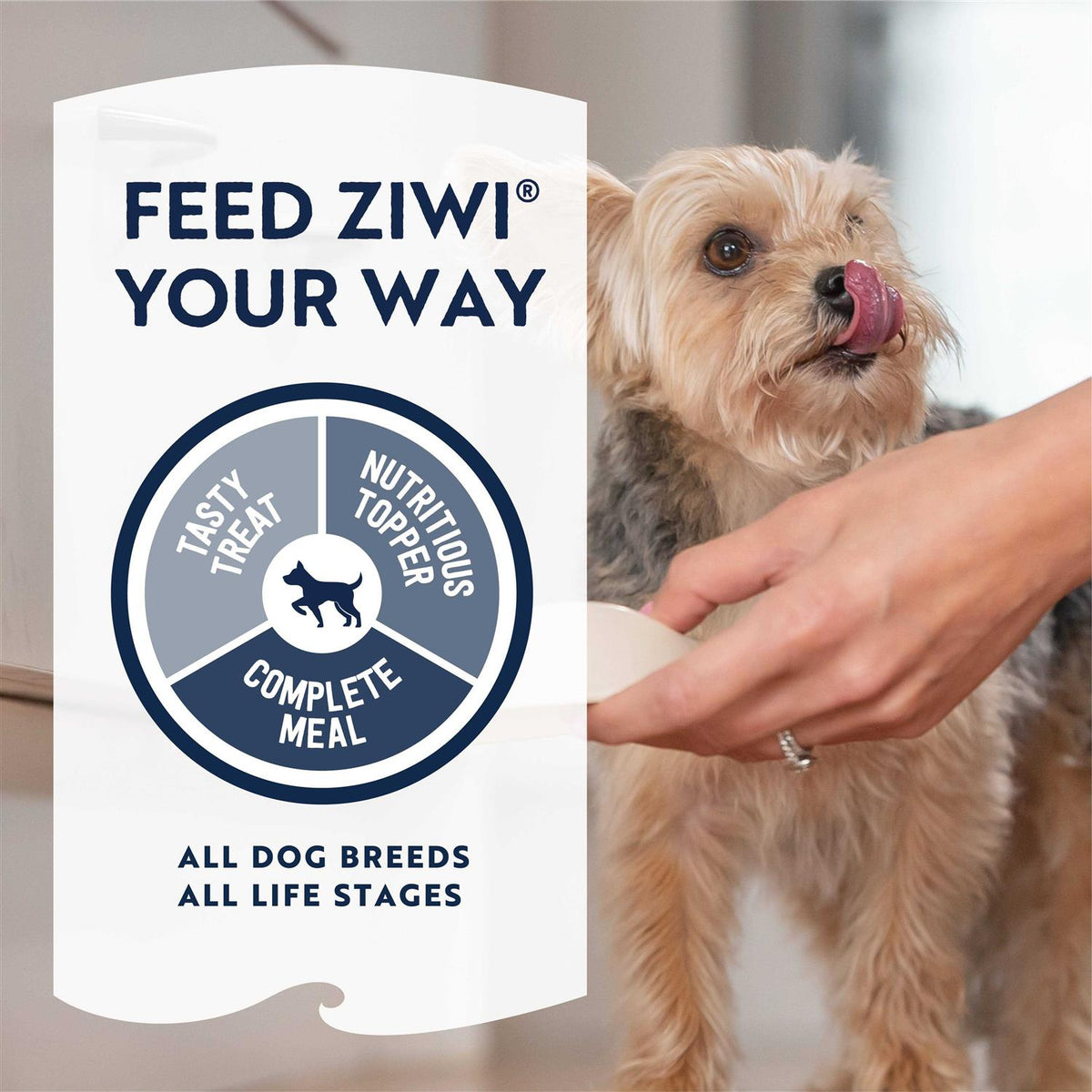Air Dried Beef Dog Food L858