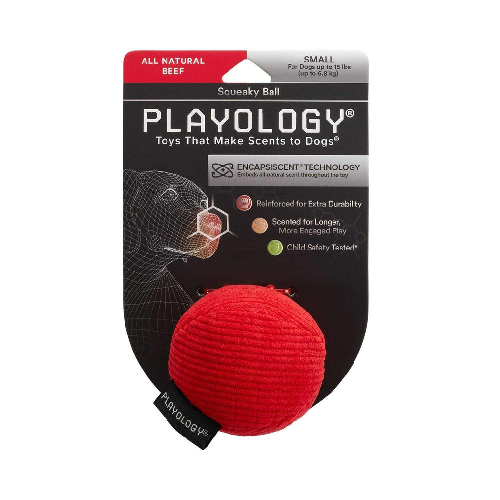 Scented Plush Dog Toy Q180