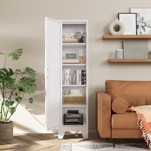 5 Tier Metal Storage Cabinet with 2 Barn Door M8252
