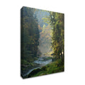 Framed Photograph Print N1394