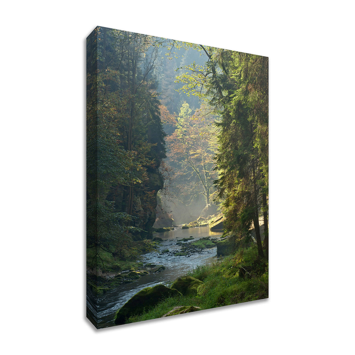 Framed Photograph Print N1394