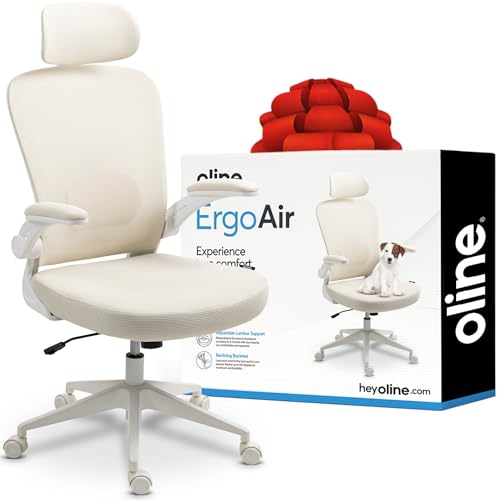 Black Ergonomic Mesh Office Chair S841