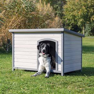 Large Flat Roof Dog House N889