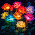 6 Pack Solar Garden Lights H13194