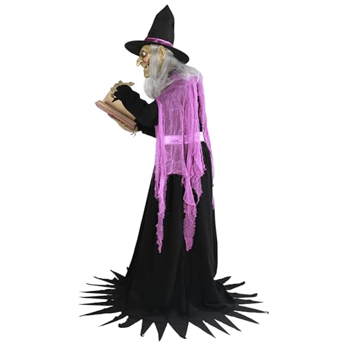 6-Ft. Witch Halloween Animatronics I27483