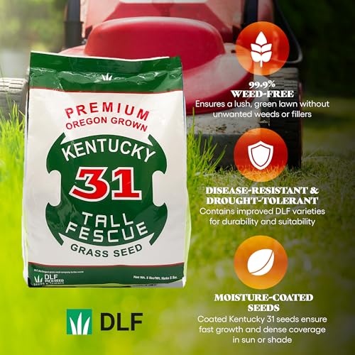 Kentucky 31 Tall Fescue Grass Seed 5 lb Bag D1073