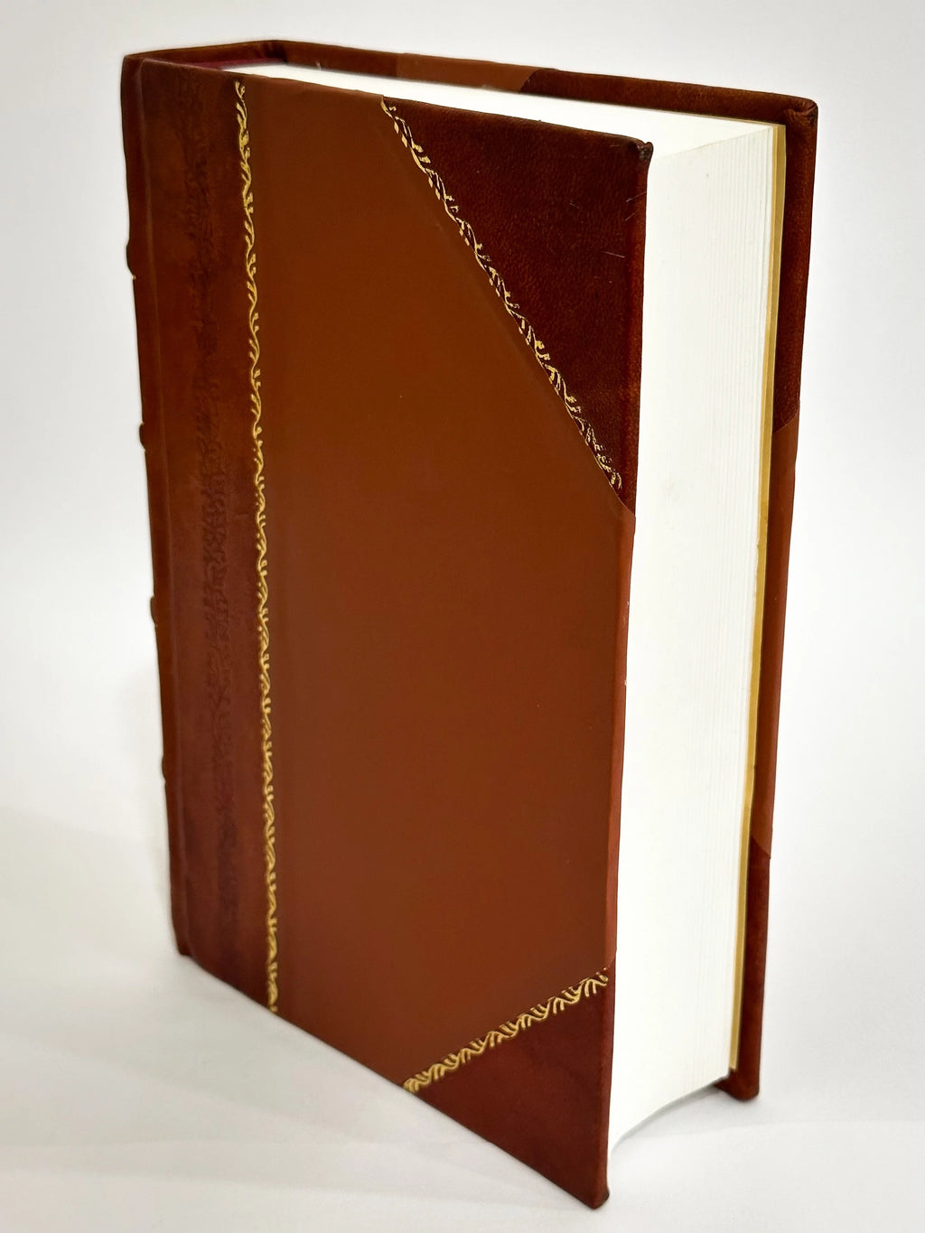 Legal Medicine Volume 1 Leather Bound H160