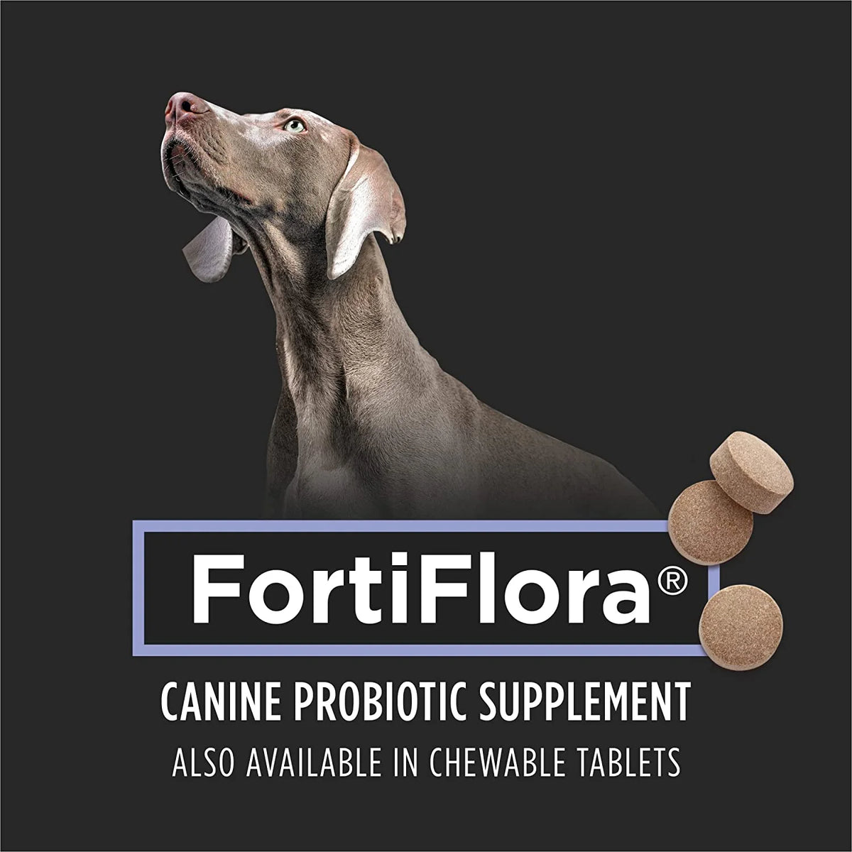 30 ct. Canine Probiotic Supplement J57313