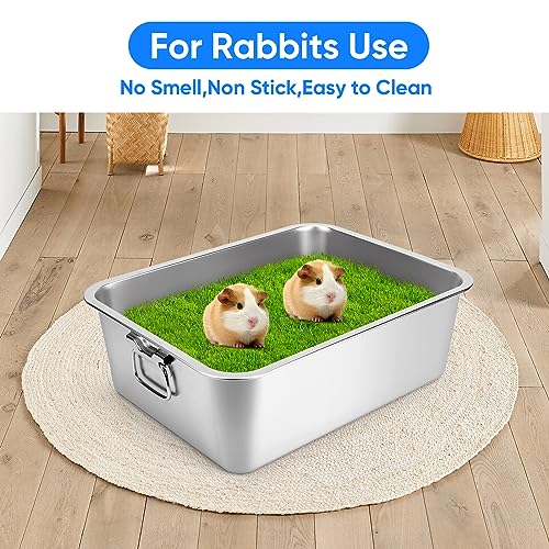 Stainless Steel Litter Box with Handle, 17.5" L x 13.5" W x 6" H, Non Stick Smooth Surface P488