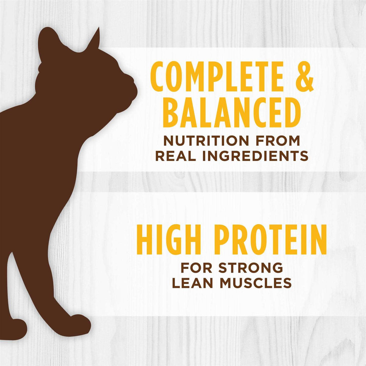 Grain Free Real Chicken Recipe Wet Cat Food T863070