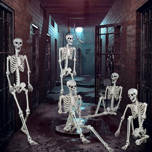 5.9ft Halloween Life Size Skeleton Plastic Human Bones with Movable Joints C636497