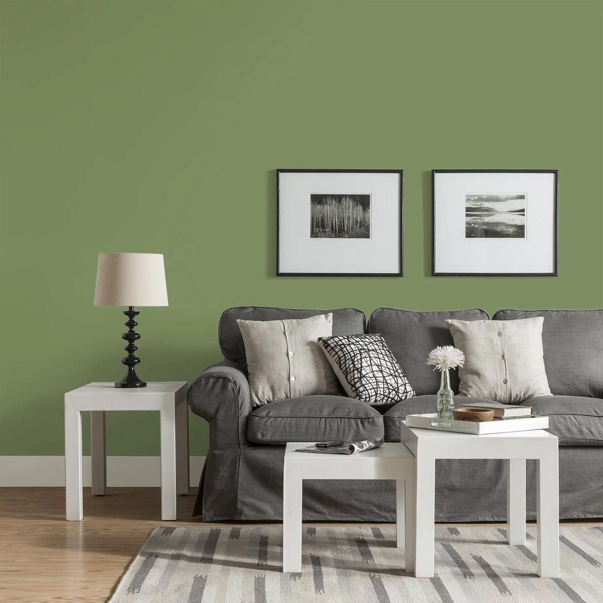 Interior Paint + Primer Green Eggshell 1 Gallon W2047