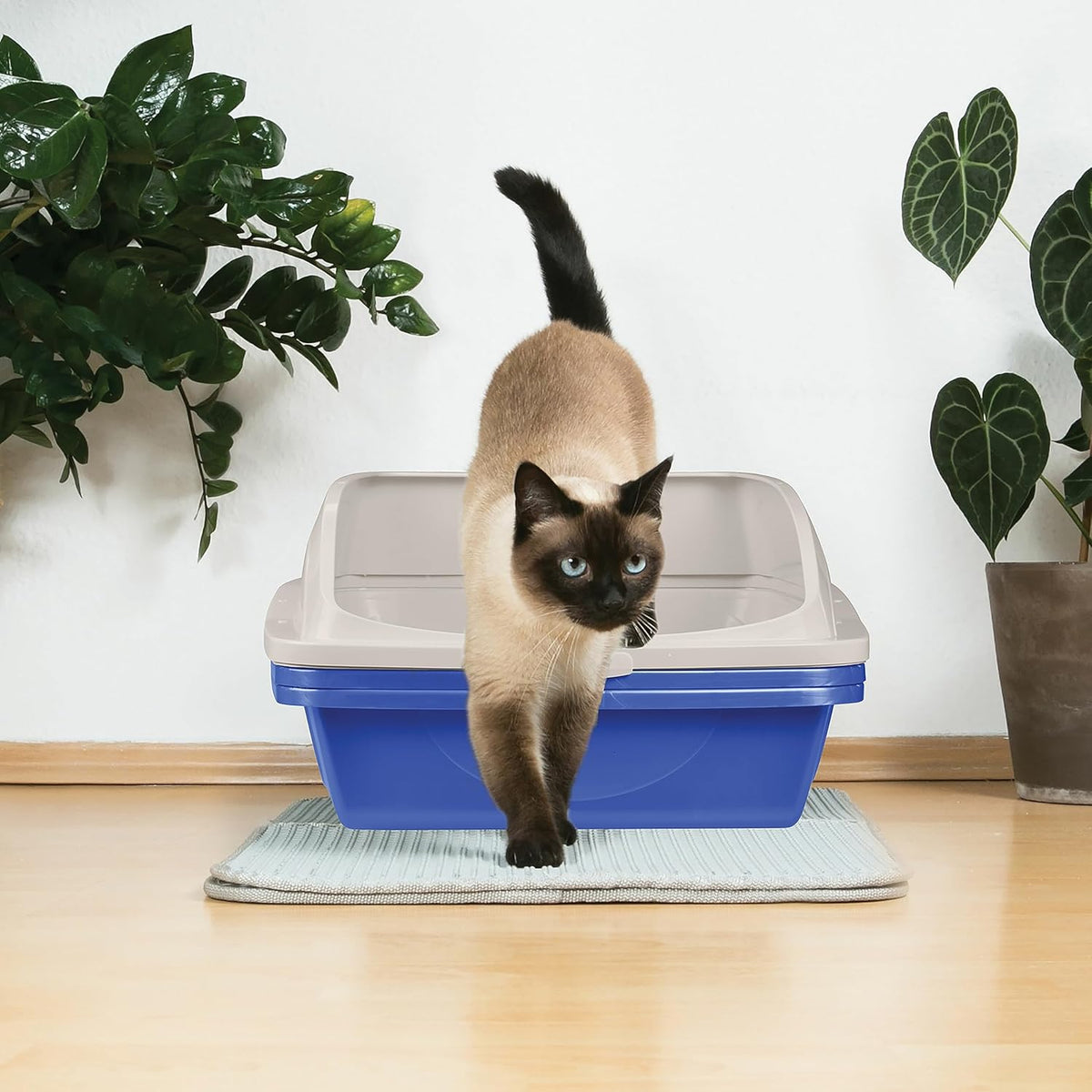 Large Sifting Cat Litter Box with Frame C426175