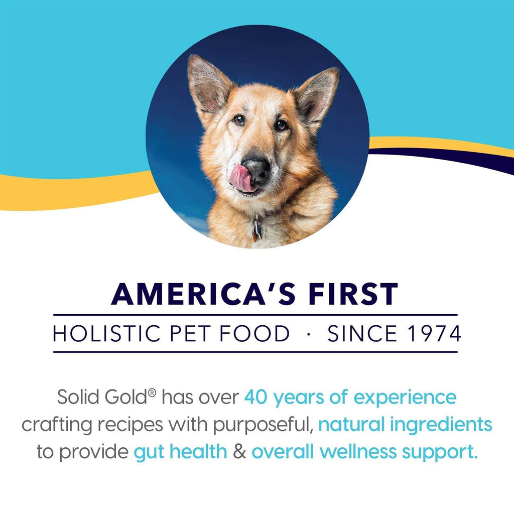 Beef Bone Broth with Turmeric Dog Food Topper Z7792
