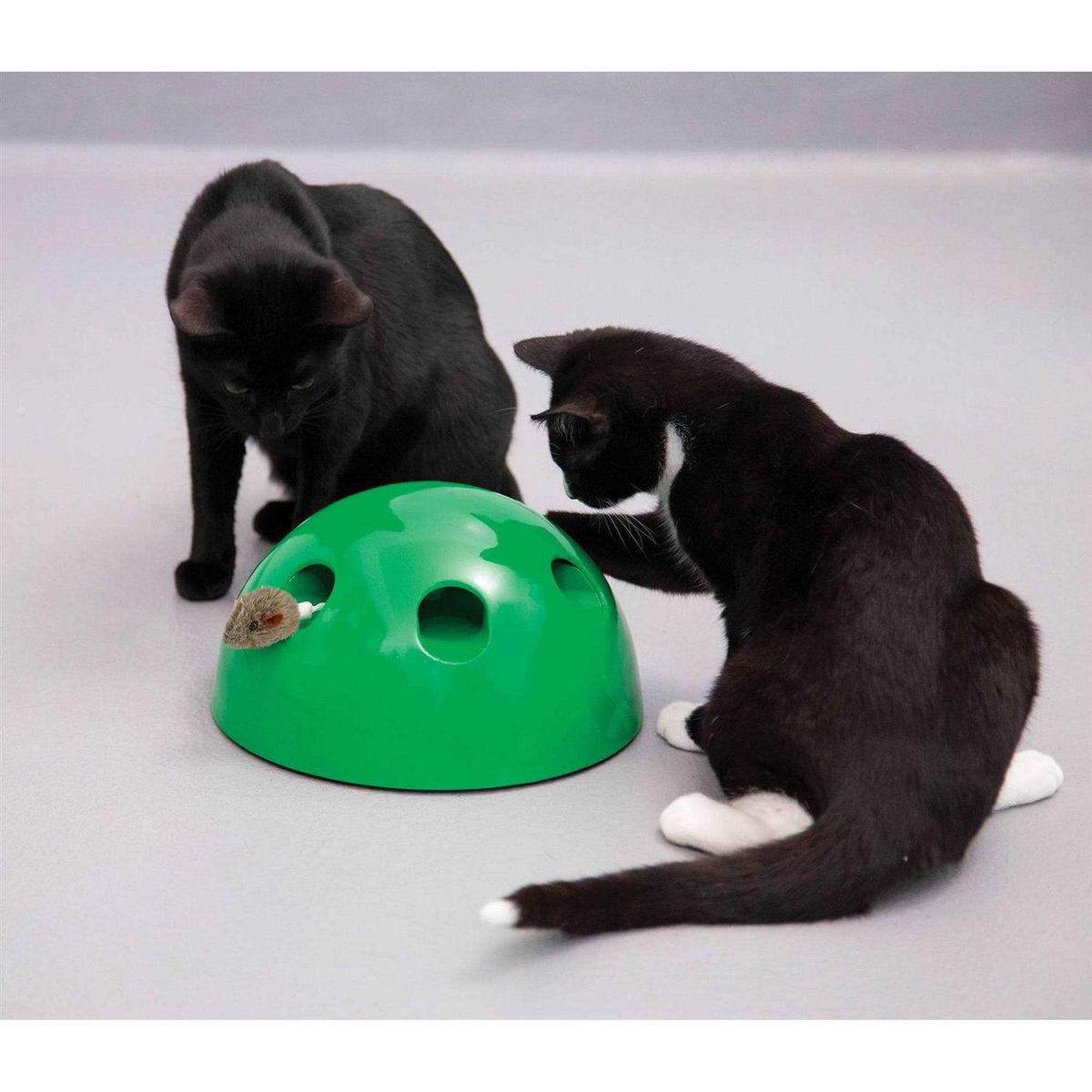 Cat Toy U243947