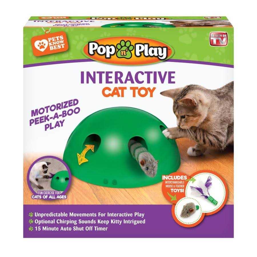 Cat Toy U243947