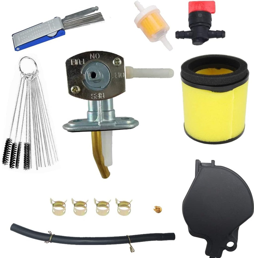 Carburetor with Petcock Fuel Tank Switch Valve F740711