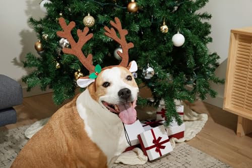 Brown Reindeer Dog Antlers Headband Pet Christmas Costume J792990