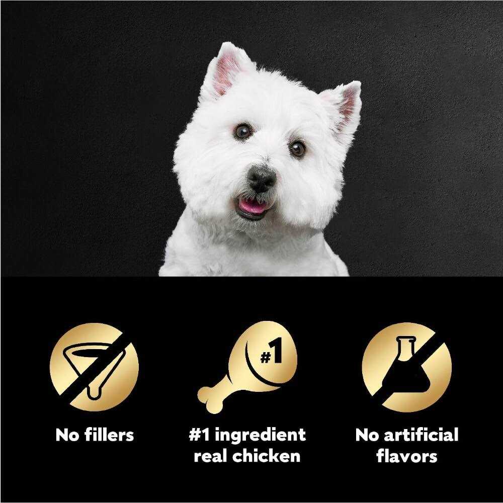 Wood-Grilled Chicken Flavor Wet Dog Food Z481