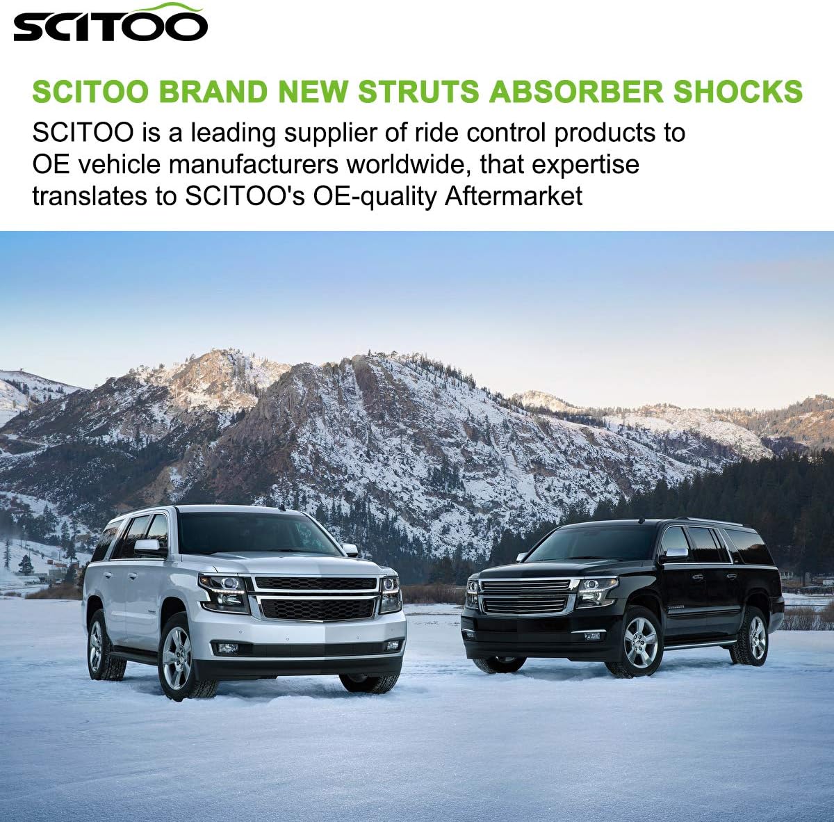 Shocks Absorbers Set for Chevy Silverado 1500, GMC Sierra 1500 D2533
