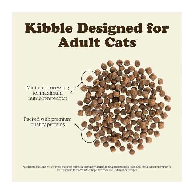 Grain-Free Adult Dry Cat Food Q287509
