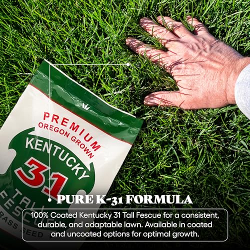 Kentucky 31 Tall Fescue Grass Seed 5 lb Bag D1073