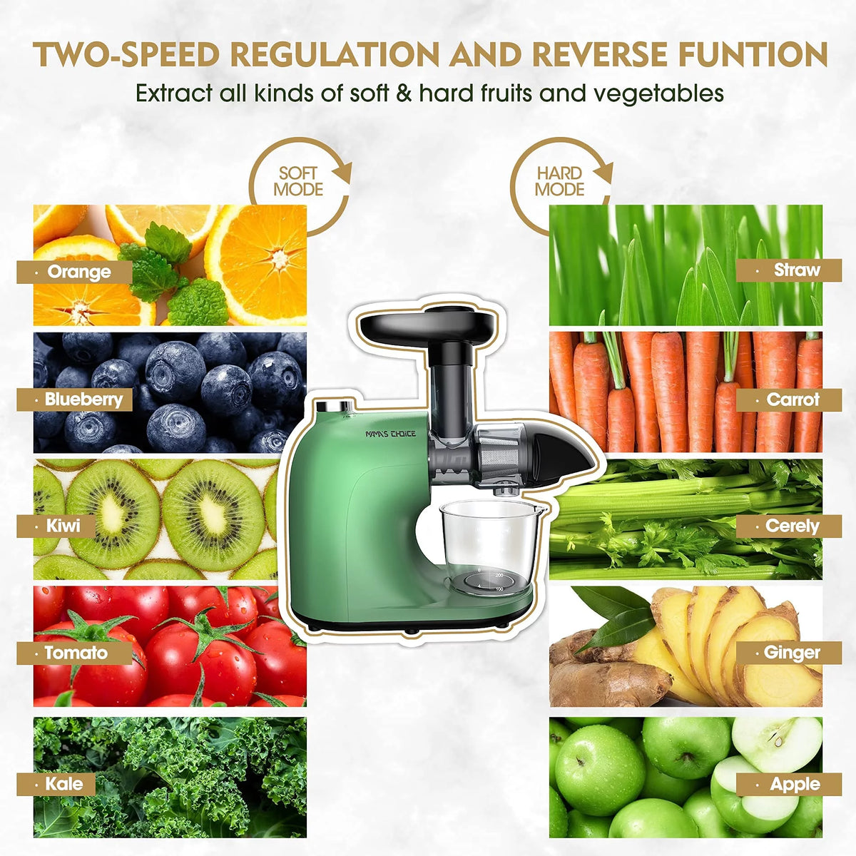 Slow Masticating Cold Press Juicer J686551